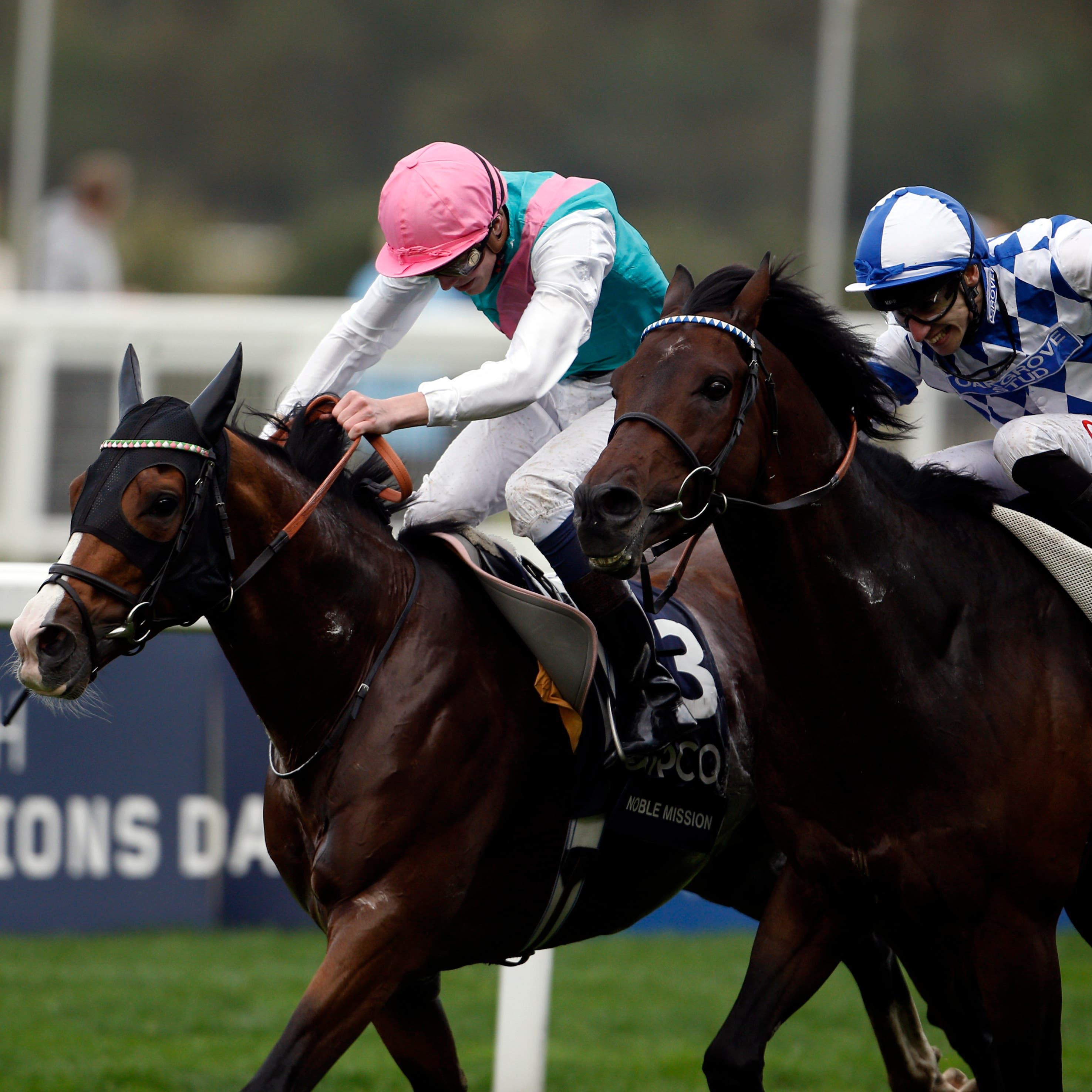 Noble Mission (left) and Al Kazeem battle it out in the Champion Stakes