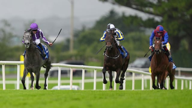 Puppet Master was an easy winner at Galway last summer