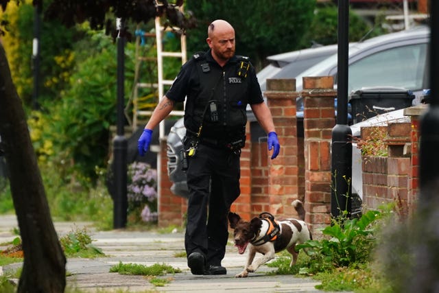 A sniffer dog searching near the scene of the incident