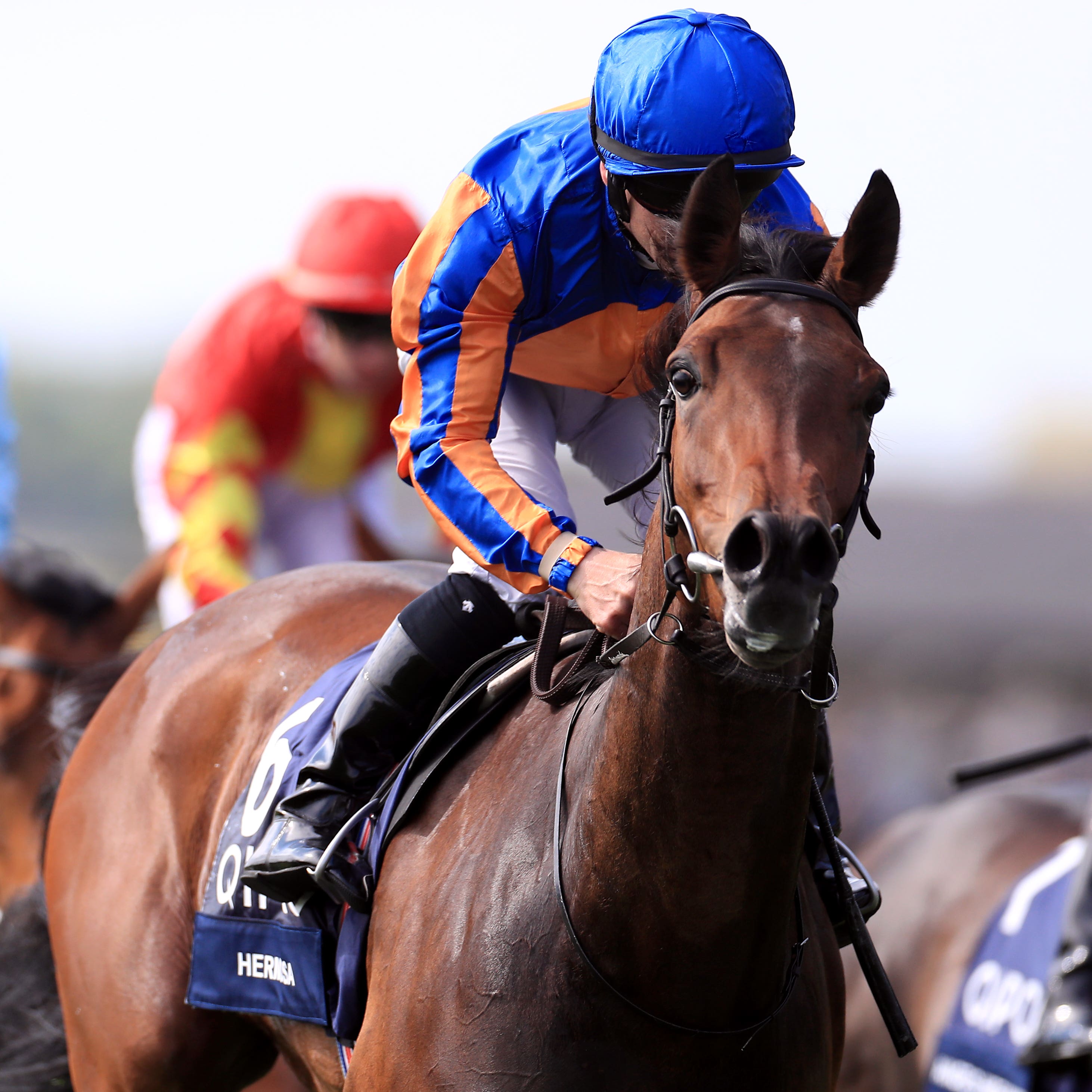 Hermosa is heading to the Curragh and then the French Oaks