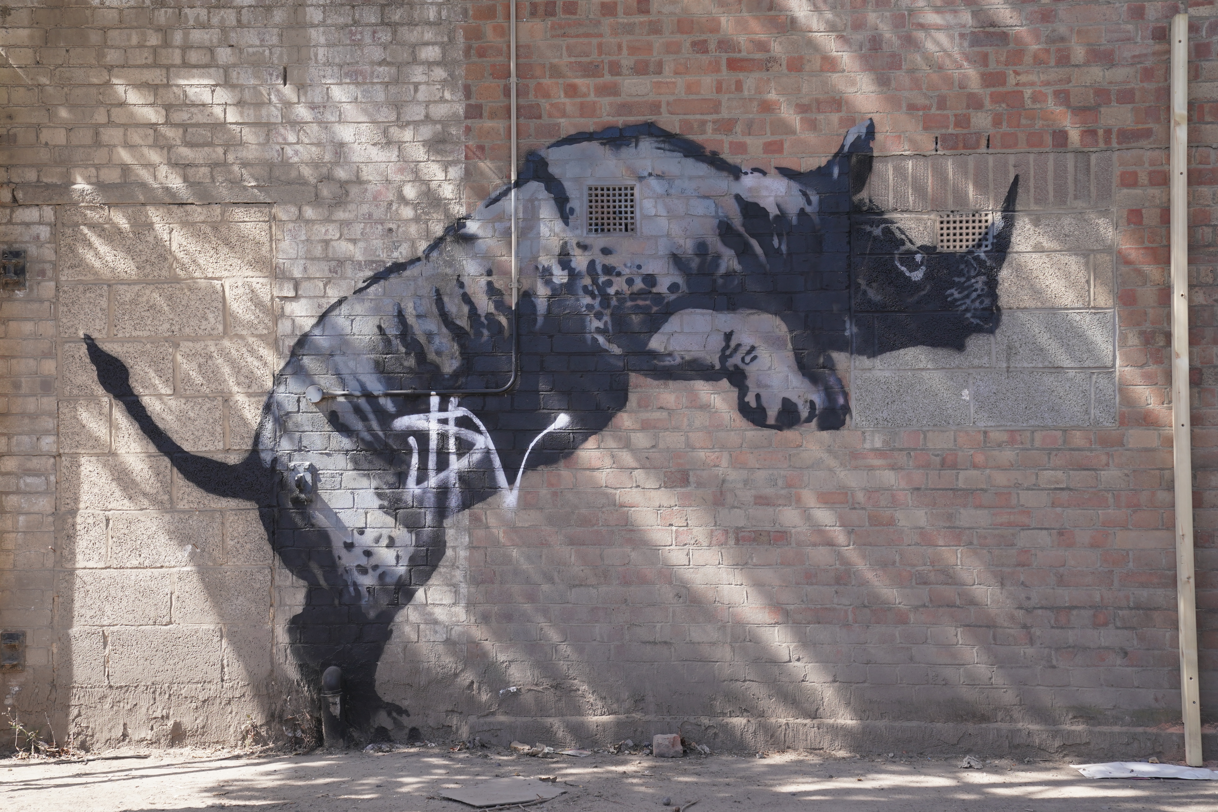 Banksy Unveils Ninth Artwork At London Zoo | Irvine Times