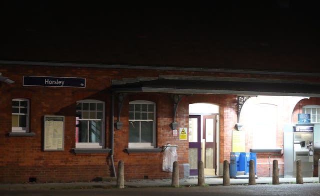 Horsley train stabbing