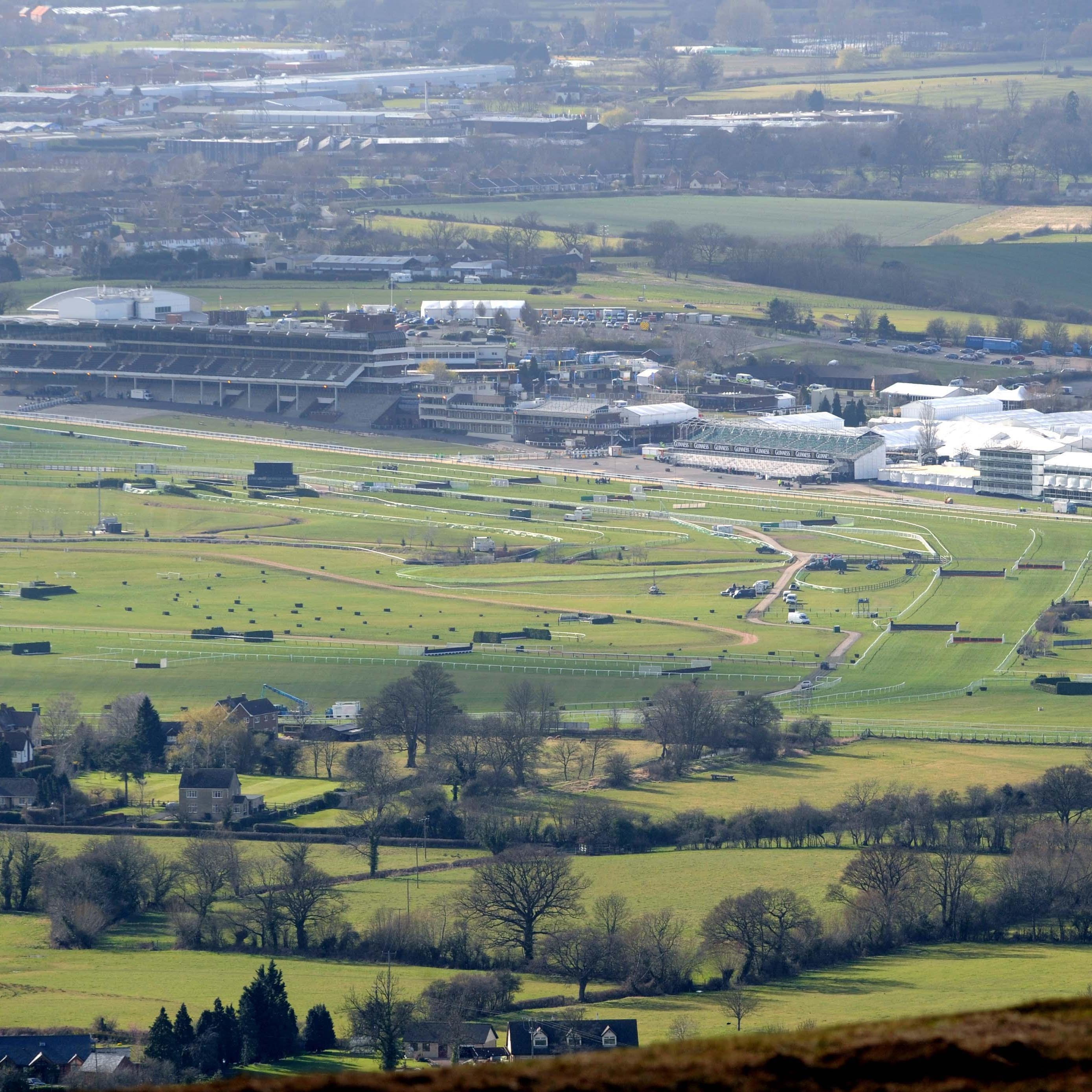 Cheltenham Racecourse will stage the Festival next month