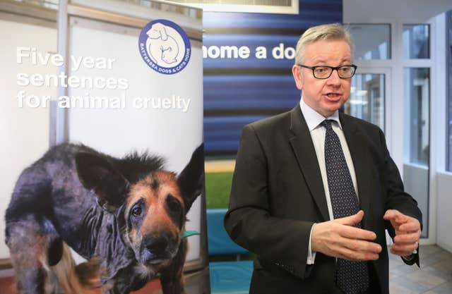 New animal abuse law