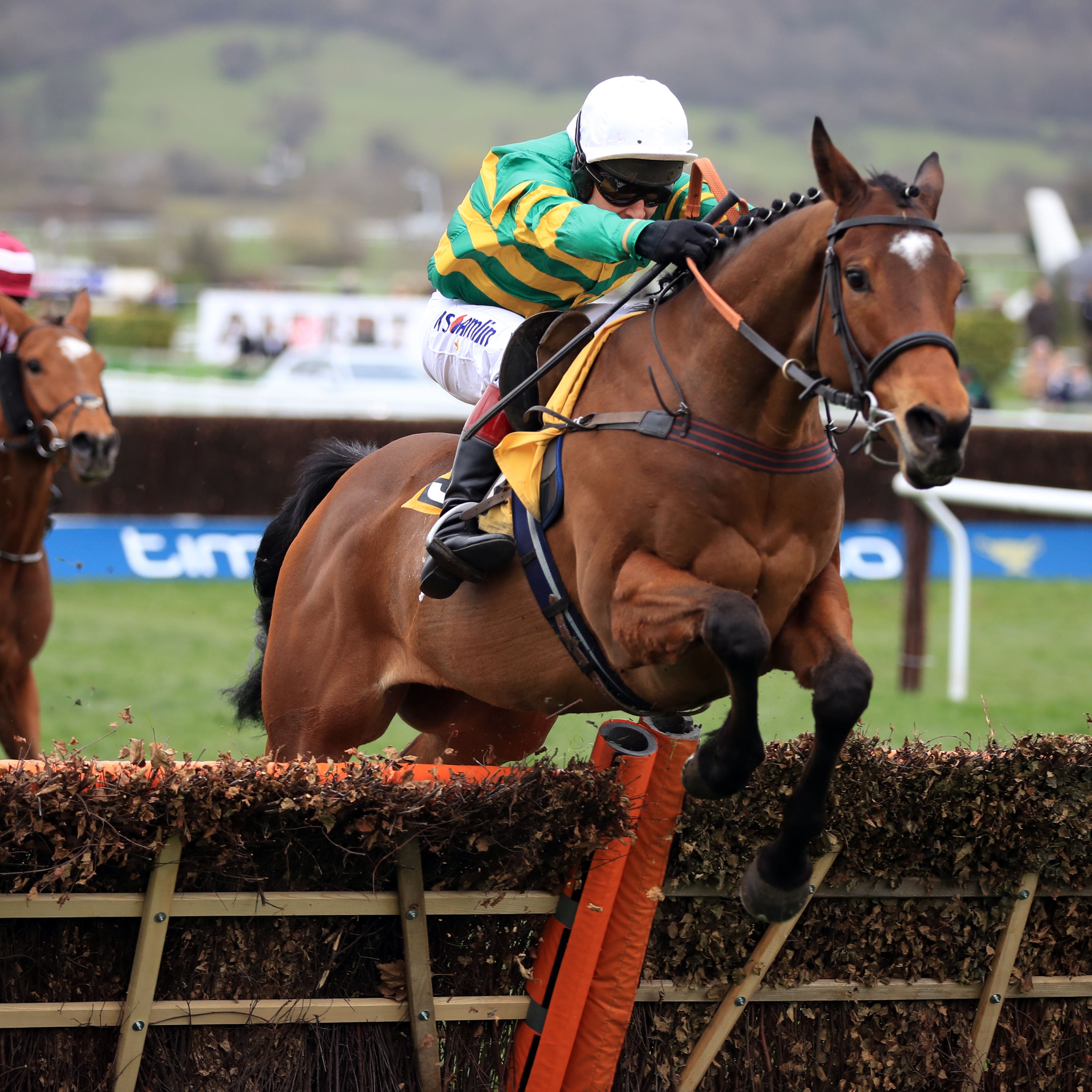 Defi Du Seuil was a top-class juvenile hurdler