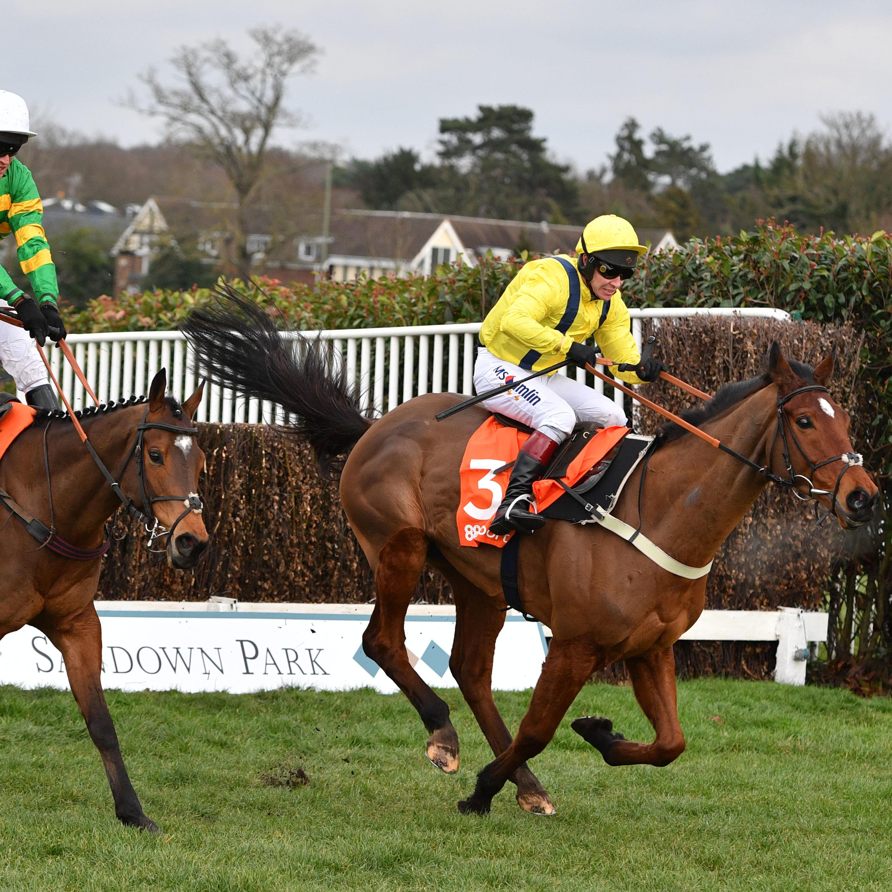 Defi Du Seuil (left) and Lostintranslation fight out the finish at Sandown