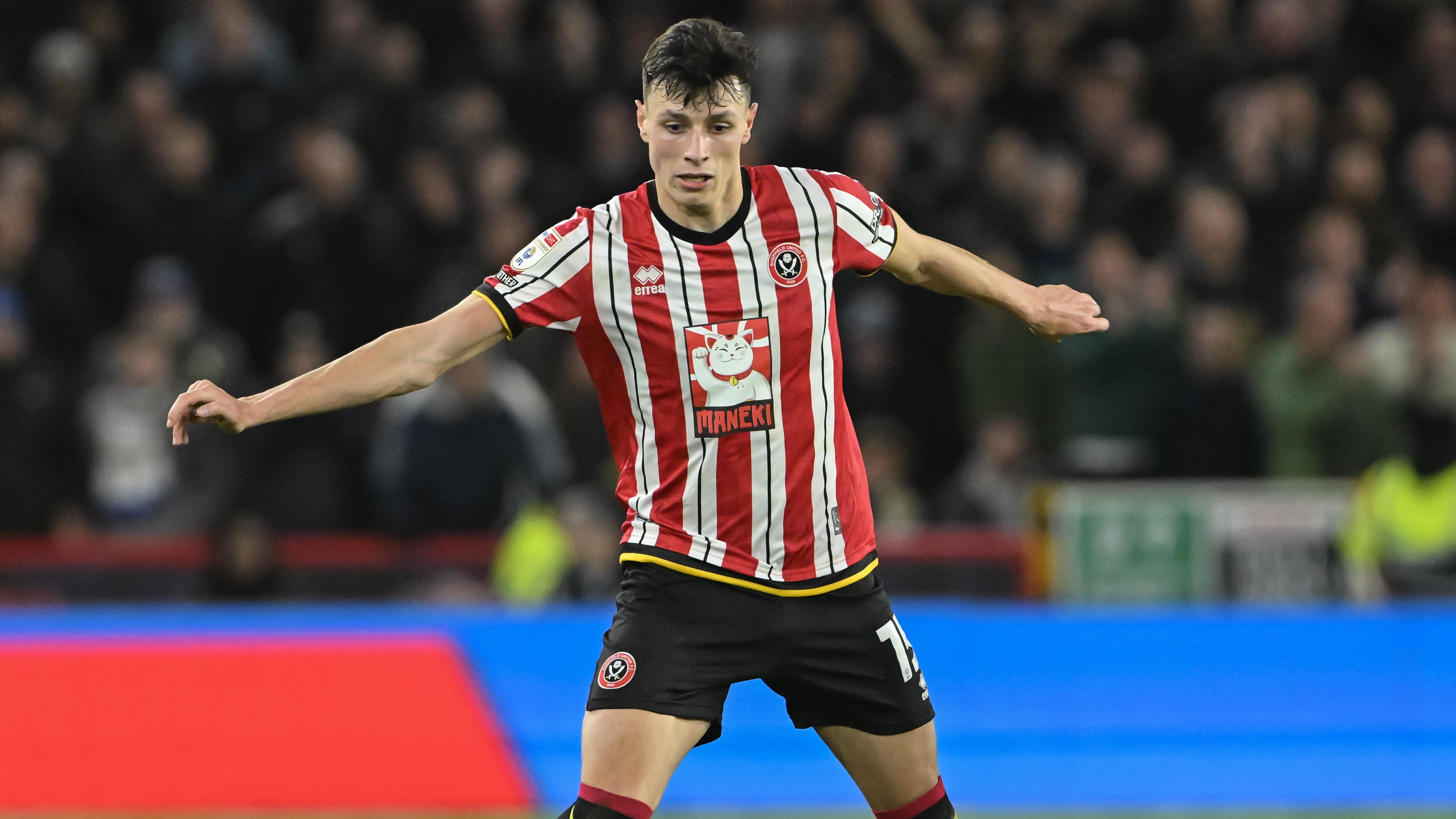 Anel Ahmedhodzic levelled for Sheffield United (Cody Froggatt/PA)
