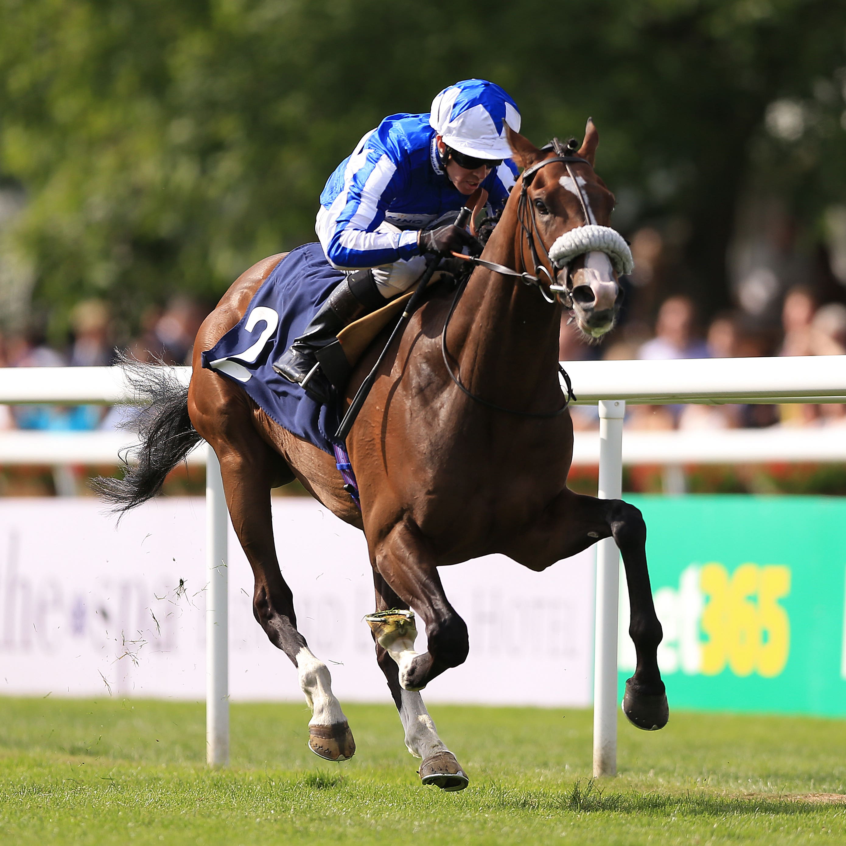 Beat The Bank was sadly put down
