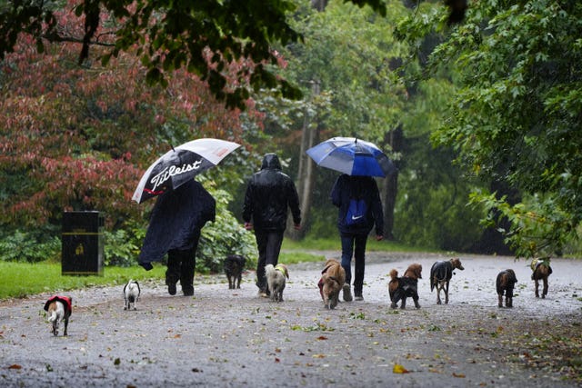 People wearing coats and carrying umbrellas walk their dogs in a park in Liverpool