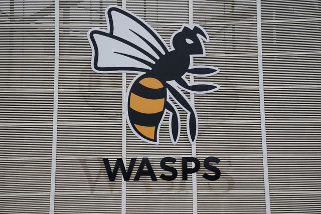 Wasps 