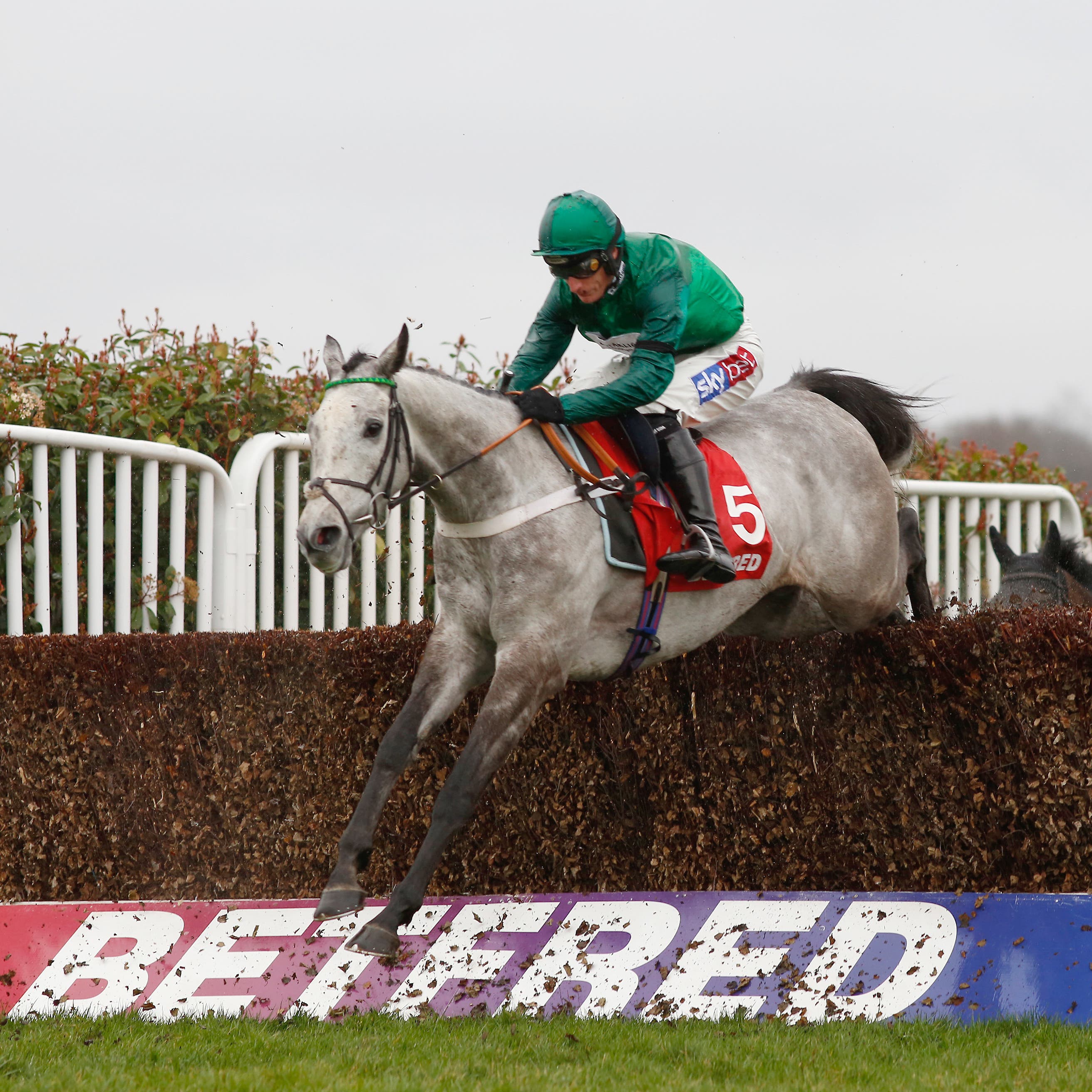 Terrefort was beaten on his return to action at Sandown