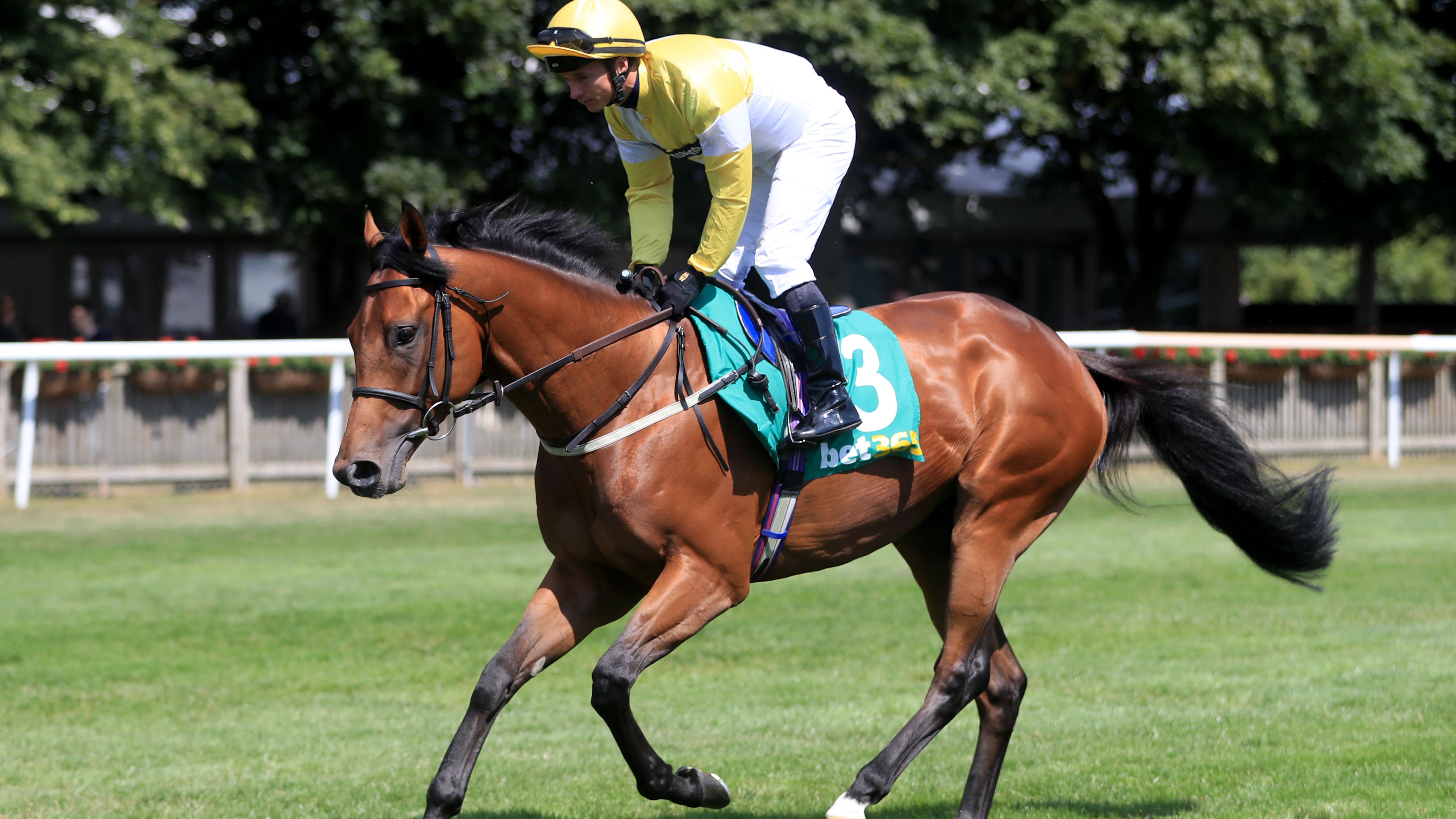 Staxton strikes for Tim Easterby in Great St Wilfrid Stakes