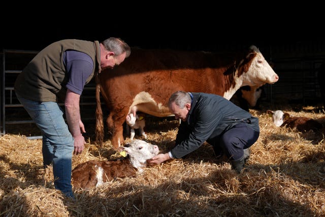 Ed Davey in a barn during a farm visit in Norfolk