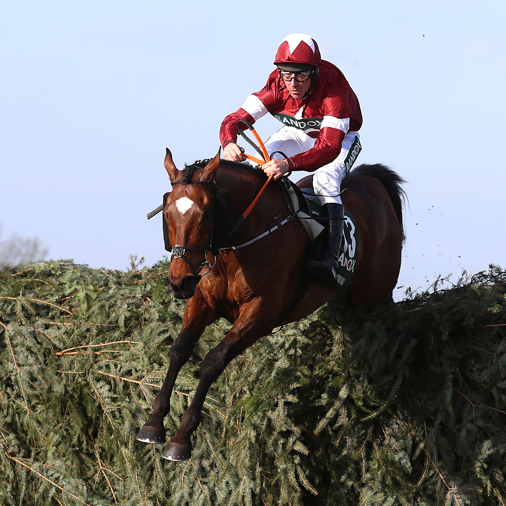 Tiger Roll on his way to winning last year's Grand National