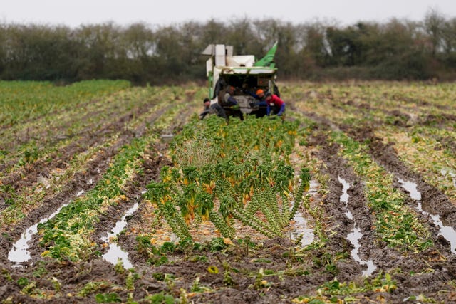 Farming conditions