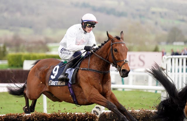 Absurde is a Cheltenham Festival winner in the past