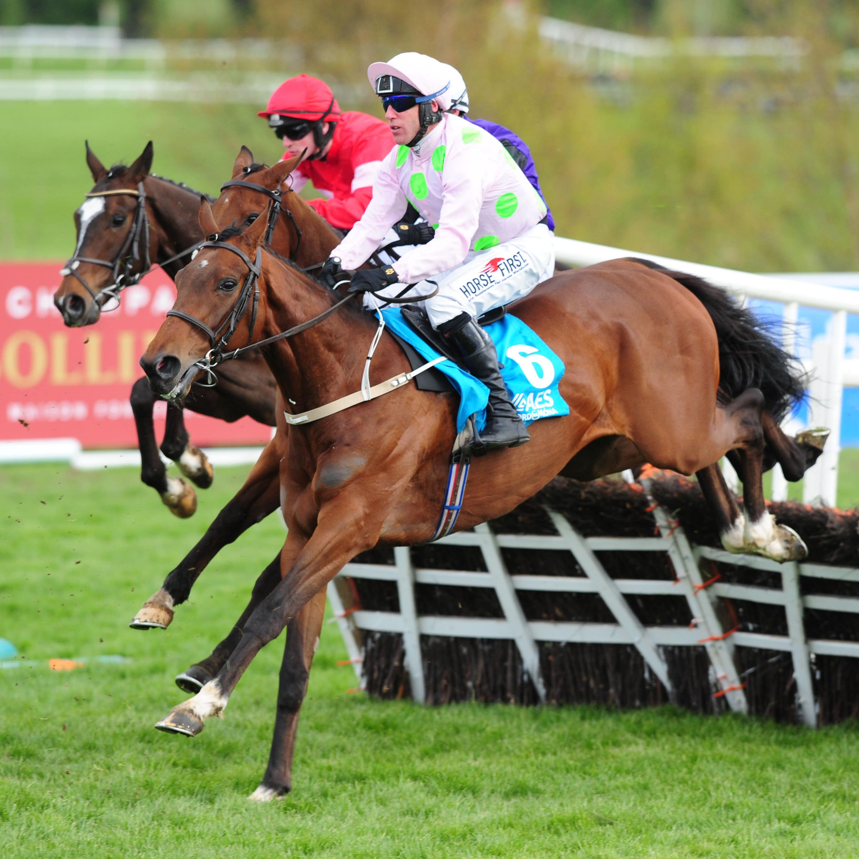 Saldier on his way to winning at Punchestown