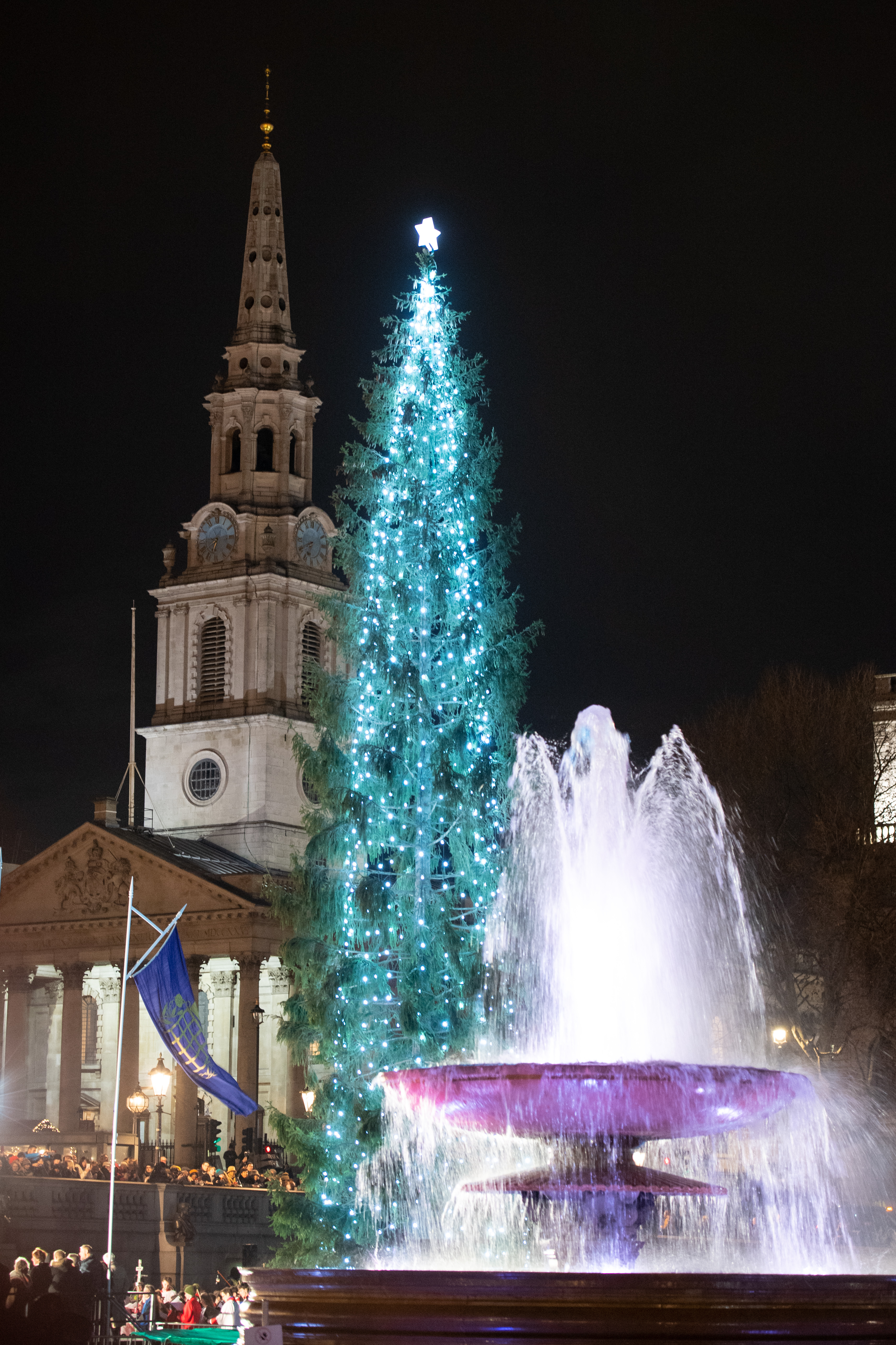 Trafalgar Square Christmas Tree Lit After ‘sparse’ Spruce Jibes ...