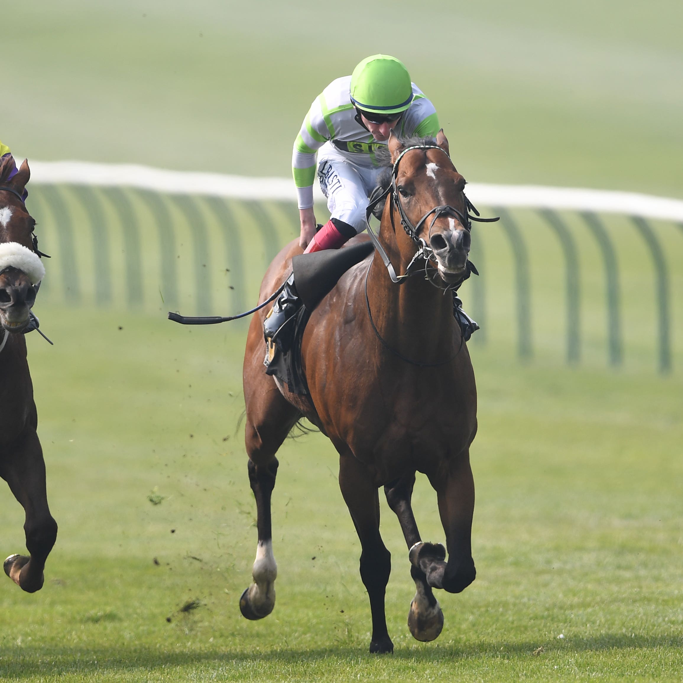 Keystroke dashed home to spring a surprise in the Abernant Stakes