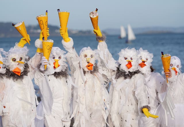 Members of the Bray Beach Bathers dressed as seagulls ahead of the annual New Year's Day charity swim on Bray seafront in County Wicklow