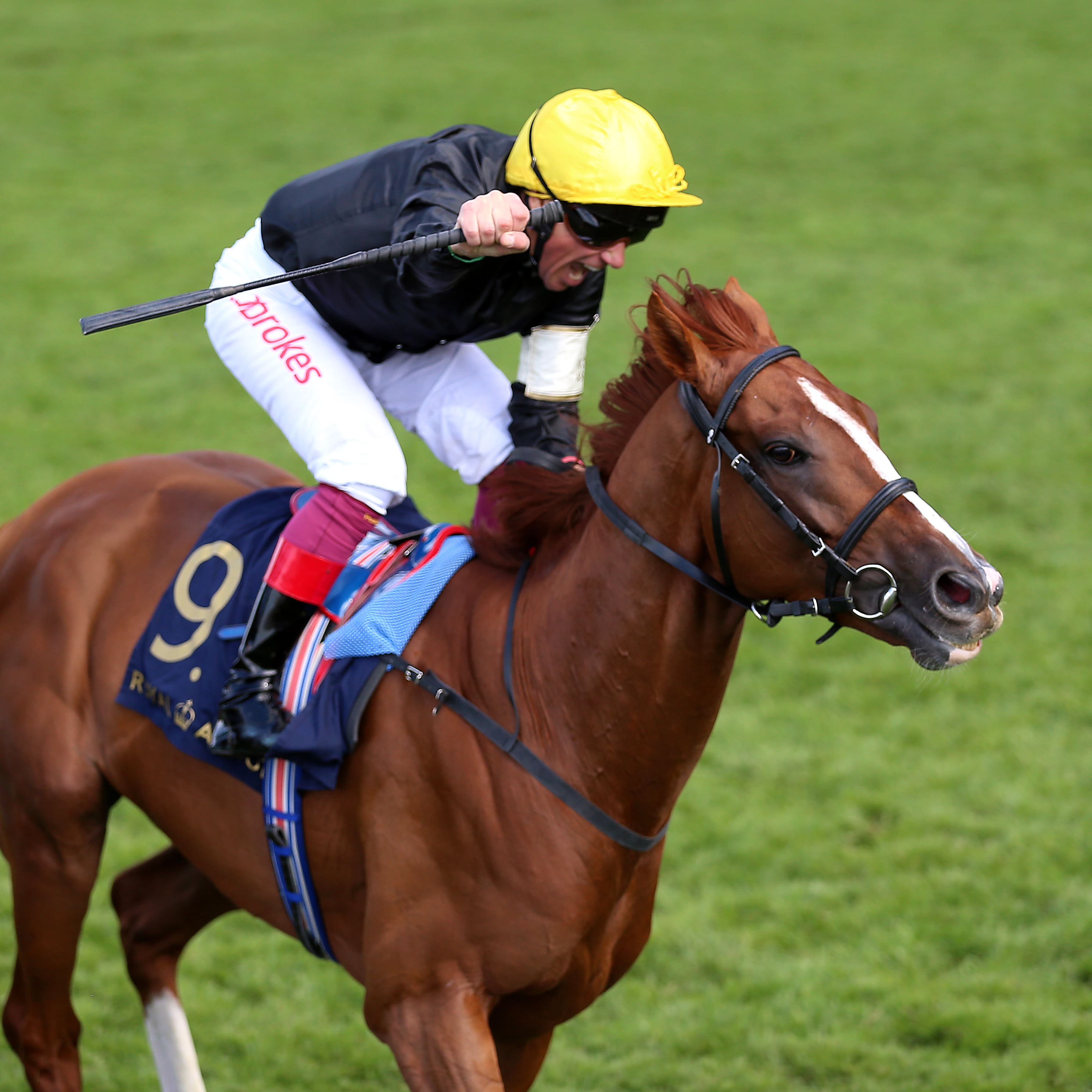 Frankie Dettori and Stradivarius win the Gold Cup
