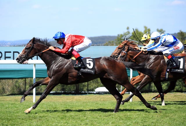 Regal Reality is another contender for Sir Michael Stoute