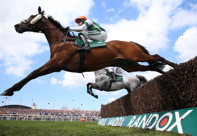 Calico is in action at Cheltenham on Friday