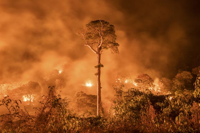 Amazon burning by Charlie Hamilton James
