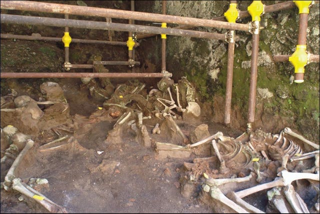 Remains preserved inside a stone chamber