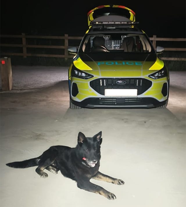 Police dog lying in front of a police car