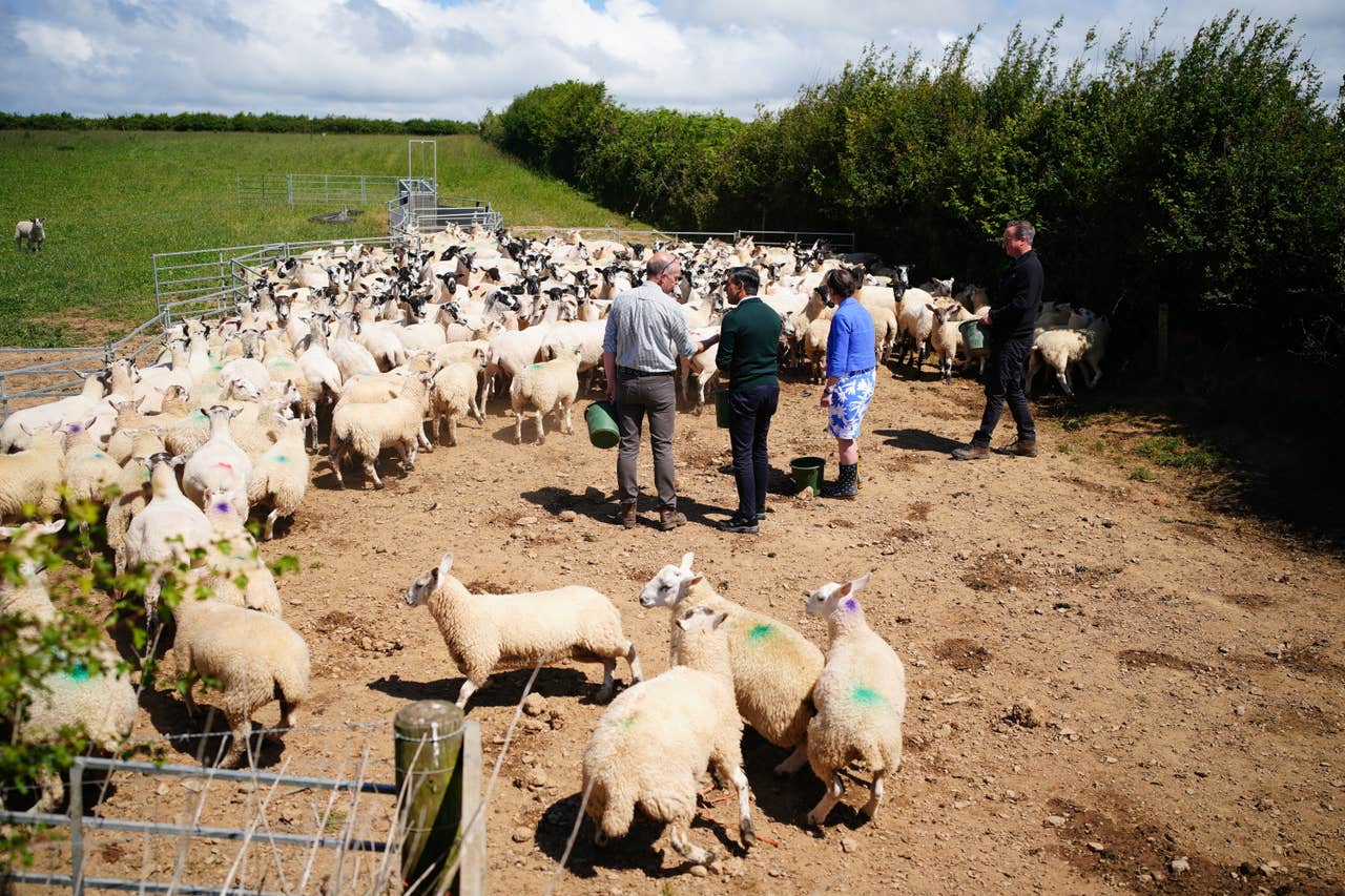 Rishi Sunak takes campaign message to fishing and farming communities ...