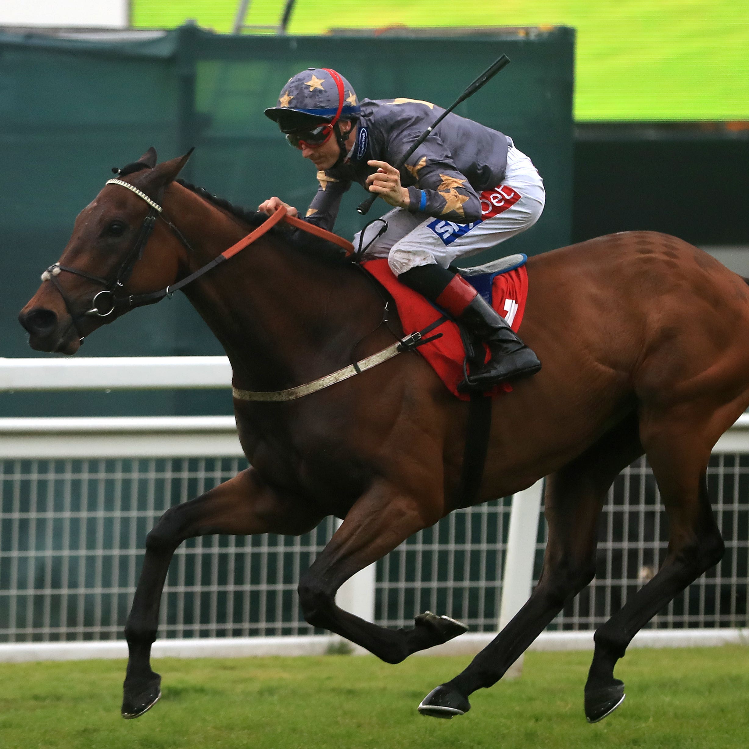 Magic Circle could be bound for Chester in the spring again