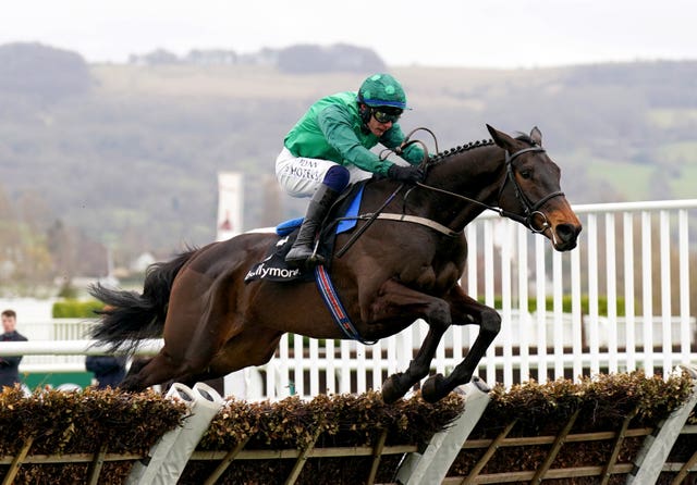 Impaire Et Passe at Cheltenham