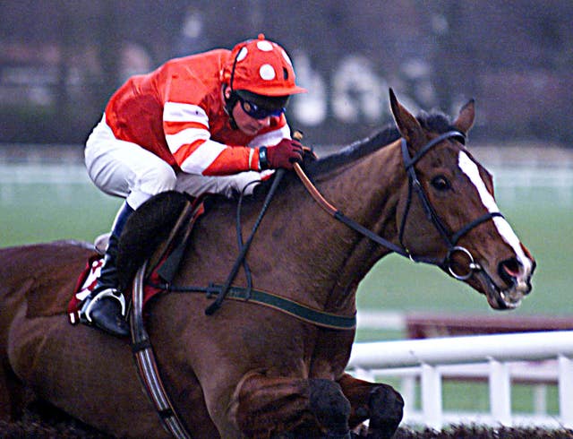 Florida Pearl was Willie Mullins' first champion 