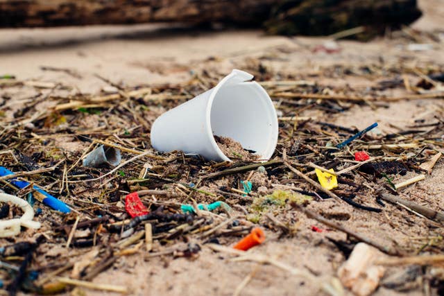 More litter in sea than ever before