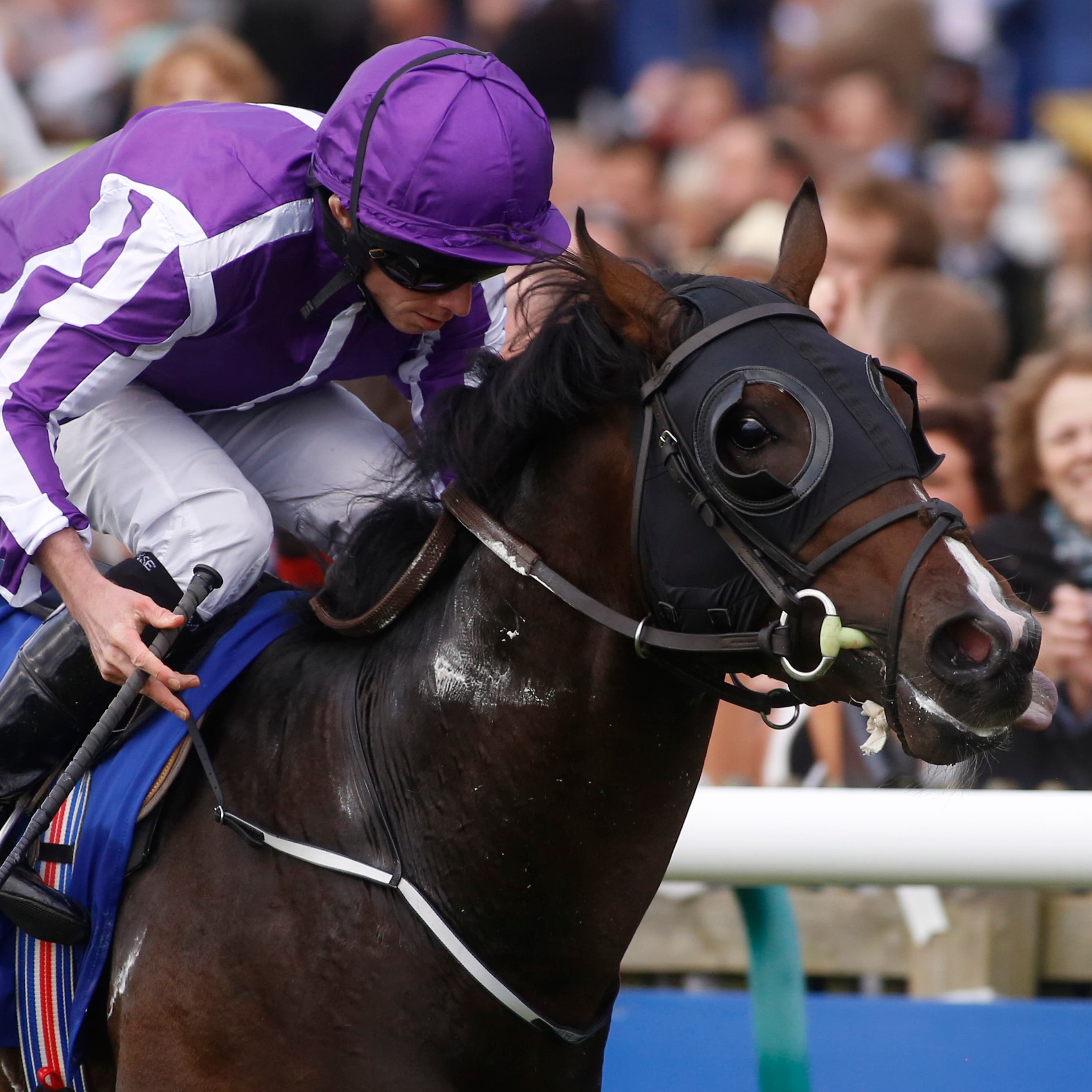 U S Navy Flag on his way to winning last season’s Dewhurst Stakes at Newmarket (Julian Herbert/PA)