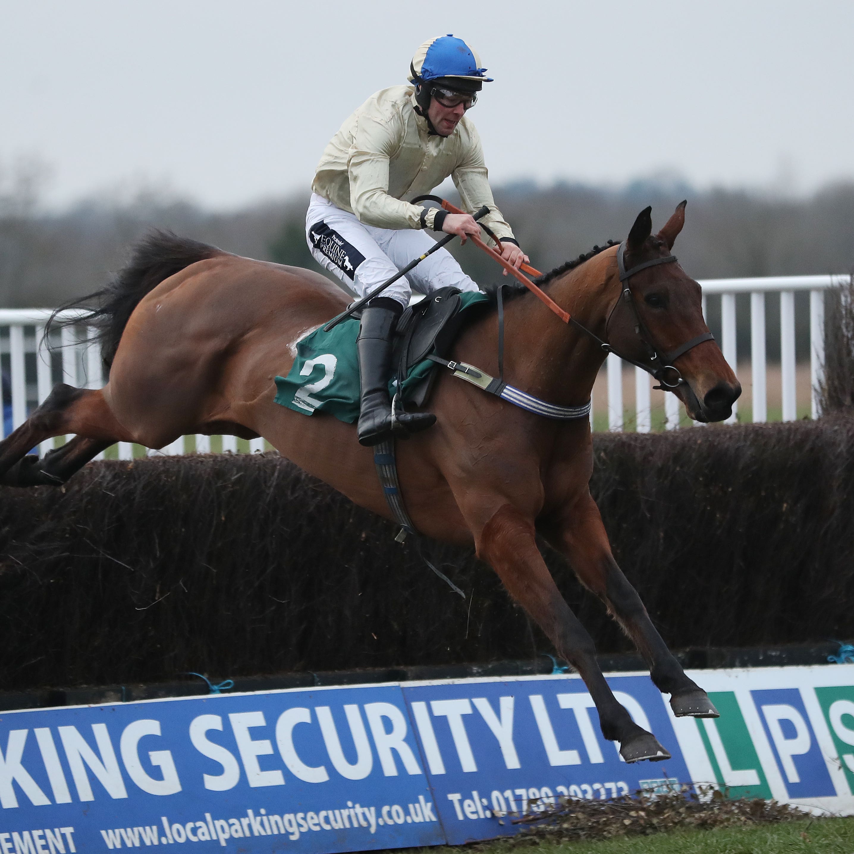 Hazel Hill is set to head straight to the St James's Place Foxhunter Chase at the Cheltenham Festival