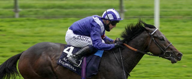 Minzaal looked a real star in the making at York