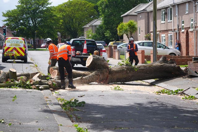 Summer weather Aug 4th 2025