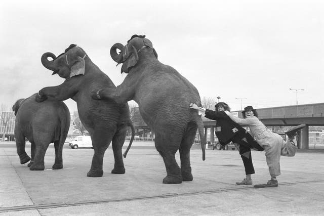 Performers from Gerry Cottle's Circus