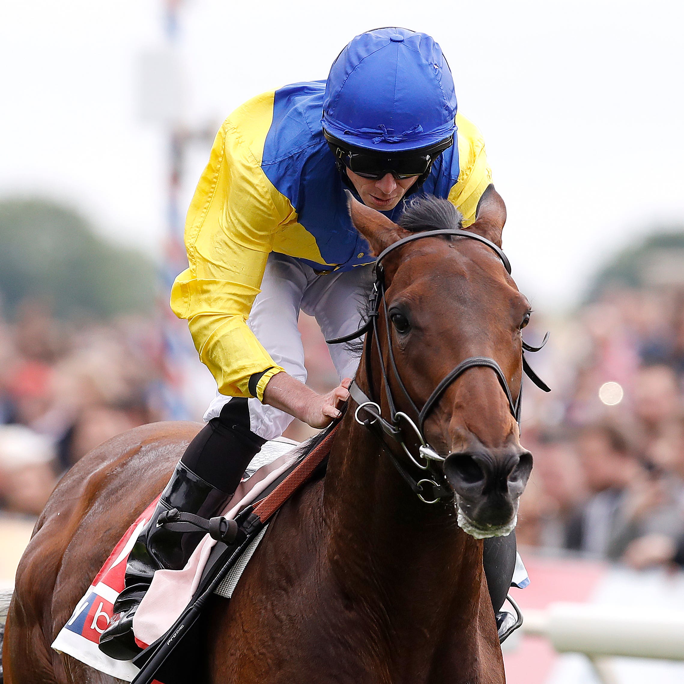 Marmelo is set for a third attempt at the Melbourne Cup