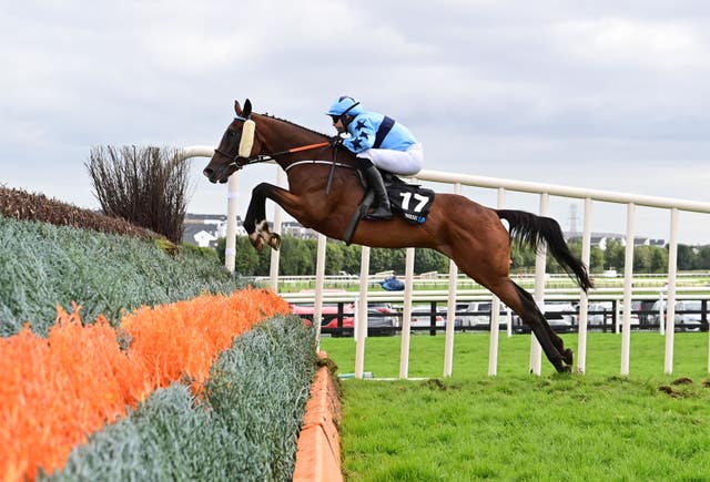 Turnpike Trip on his way to Galway glory