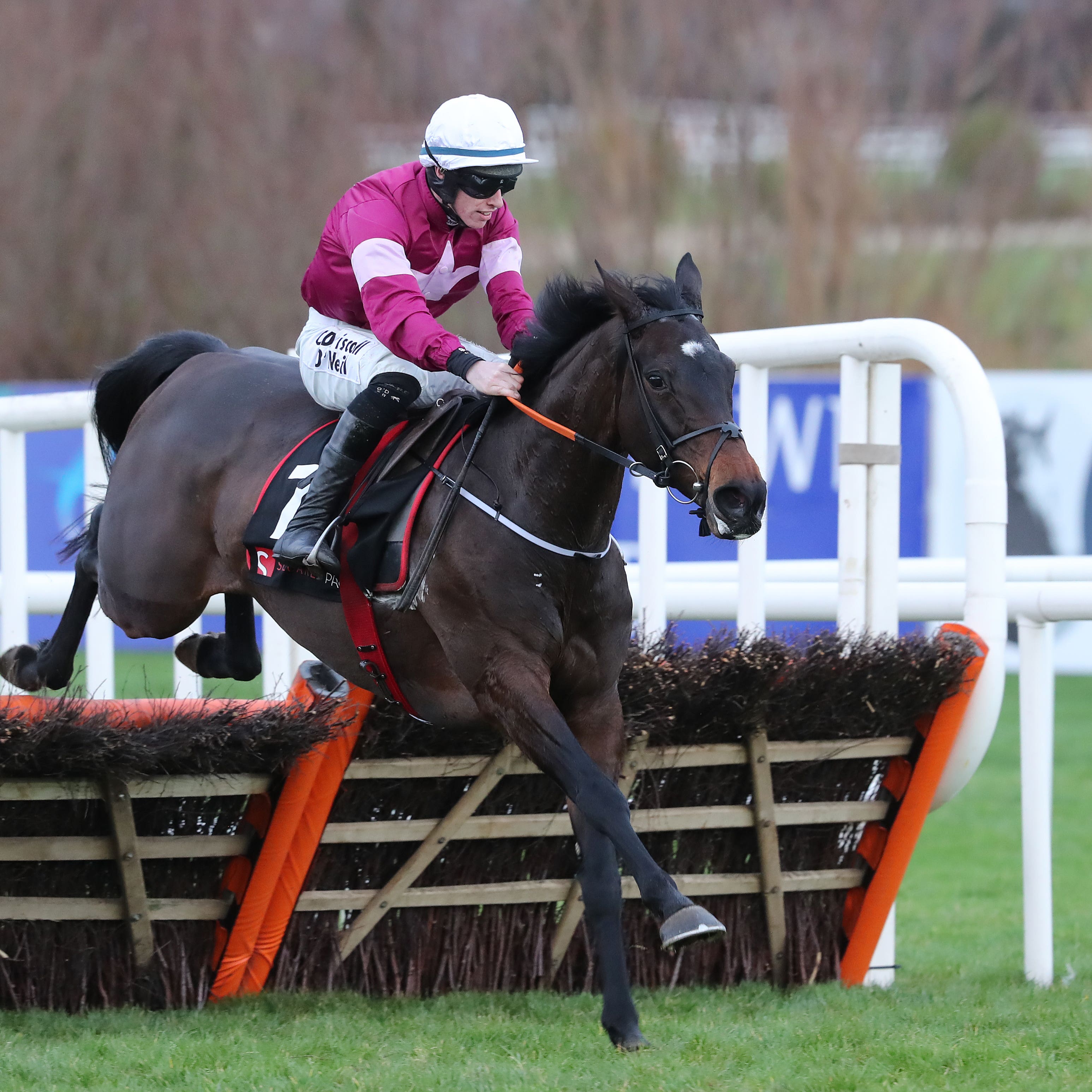 Appleās Jade could run at the Punchestown Festival