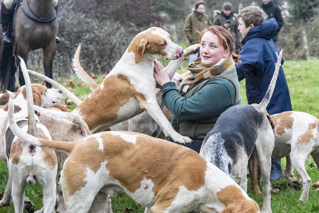 Hounds meet members of the public