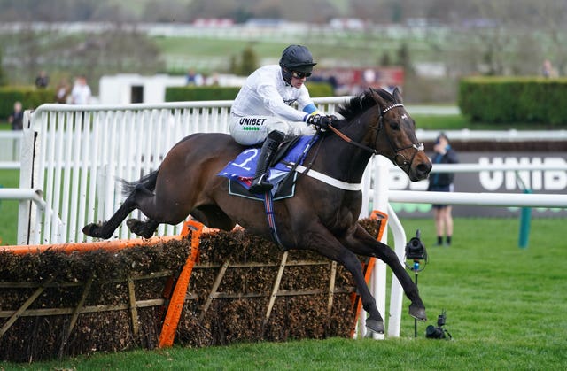 Constitution Hill winning last year's Supreme Novices' Hurdle 