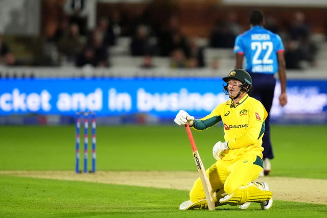 Marnus Labuschagne reacts after being hit on the arm