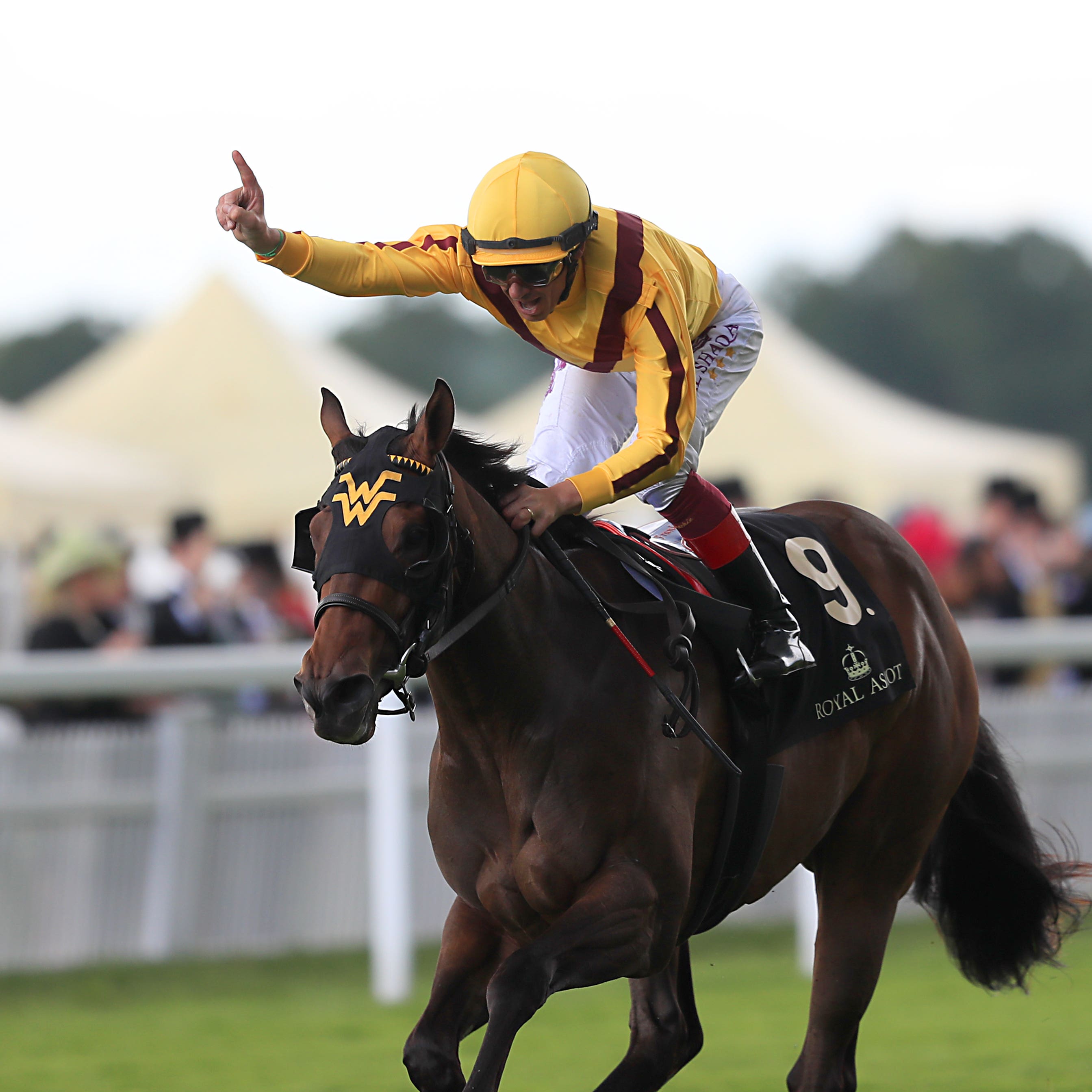 Lady Aurelia was at her best at Royal Ascot