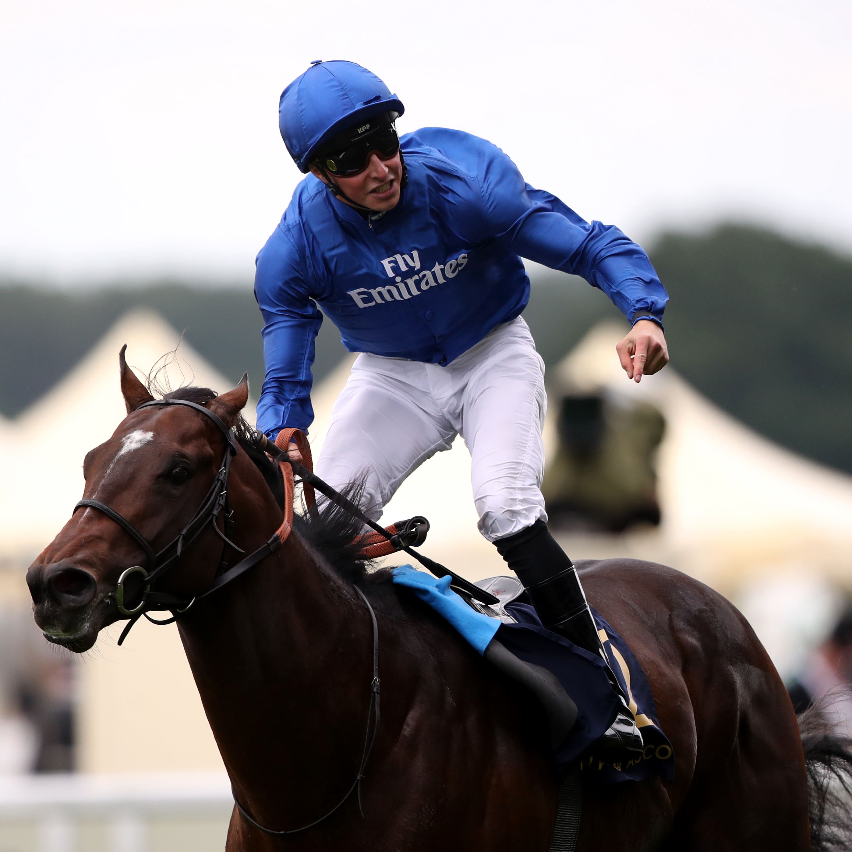 Blue Point enjoyed a smooth success at Meydan
