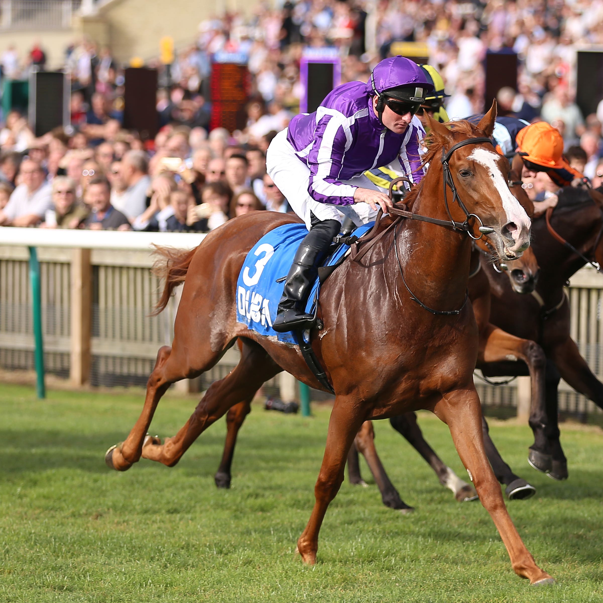 Norway came from last to first to win the Zetland