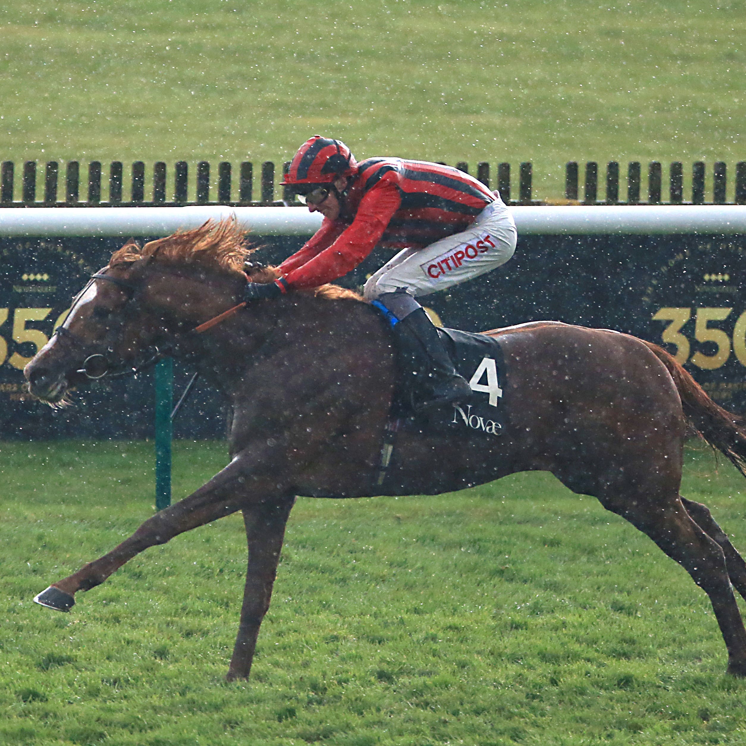 Stormy Antarctic goes for Group One glory in Hong Kong on Sunday